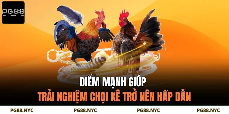 Điểm mạnh giúp trải nghiệm chọi kê trở nên hấp dẫn
