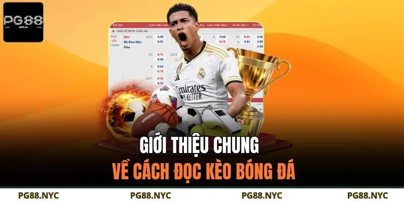 Giới thiệu chung về cách đọc kèo bóng đá