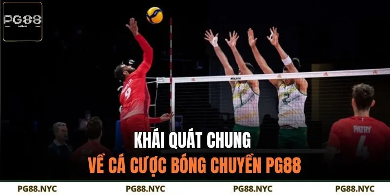 Khái quát chung về cá cược bóng chuyền PG88